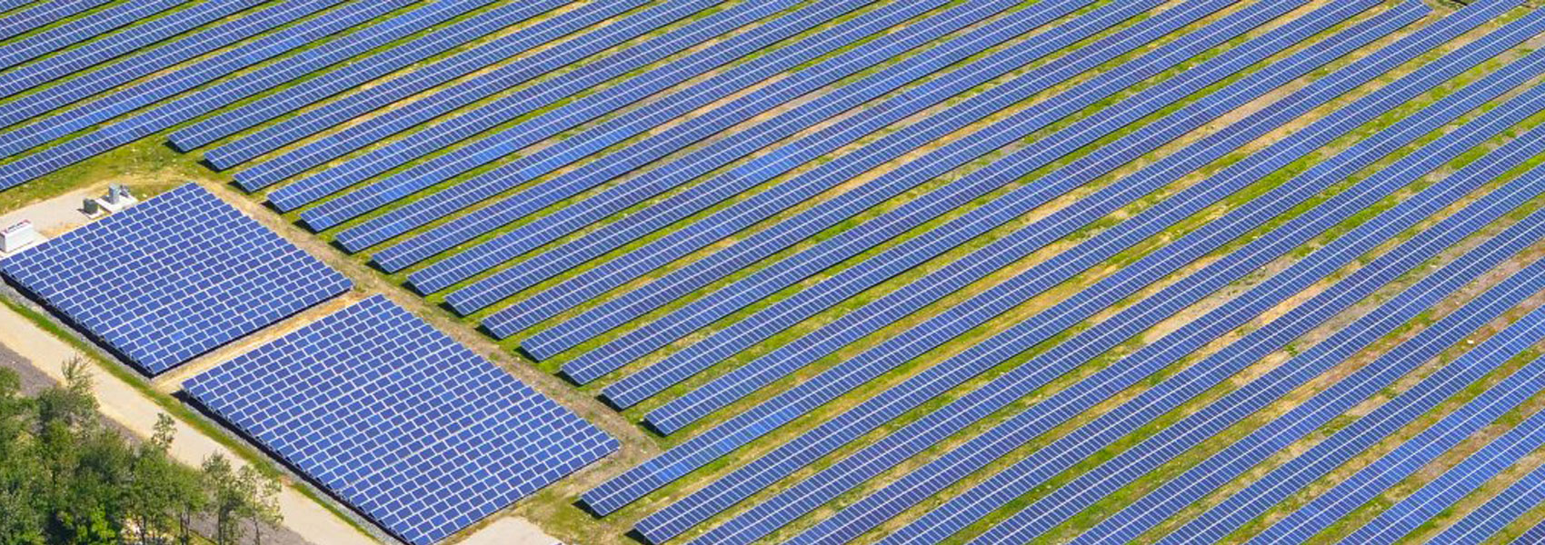 Ashburnham Solar Field